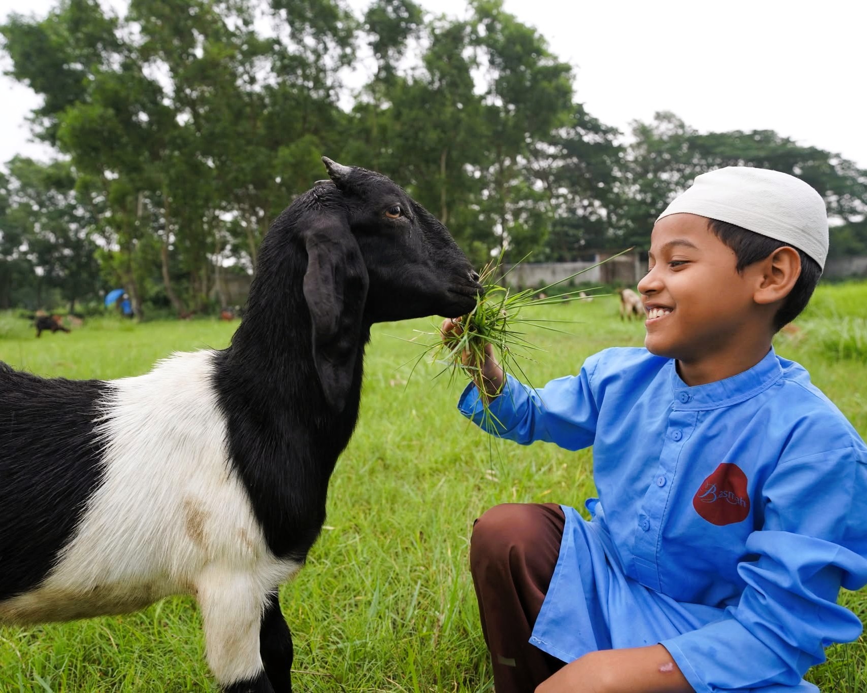 qurbani-20-5-2025 (4)