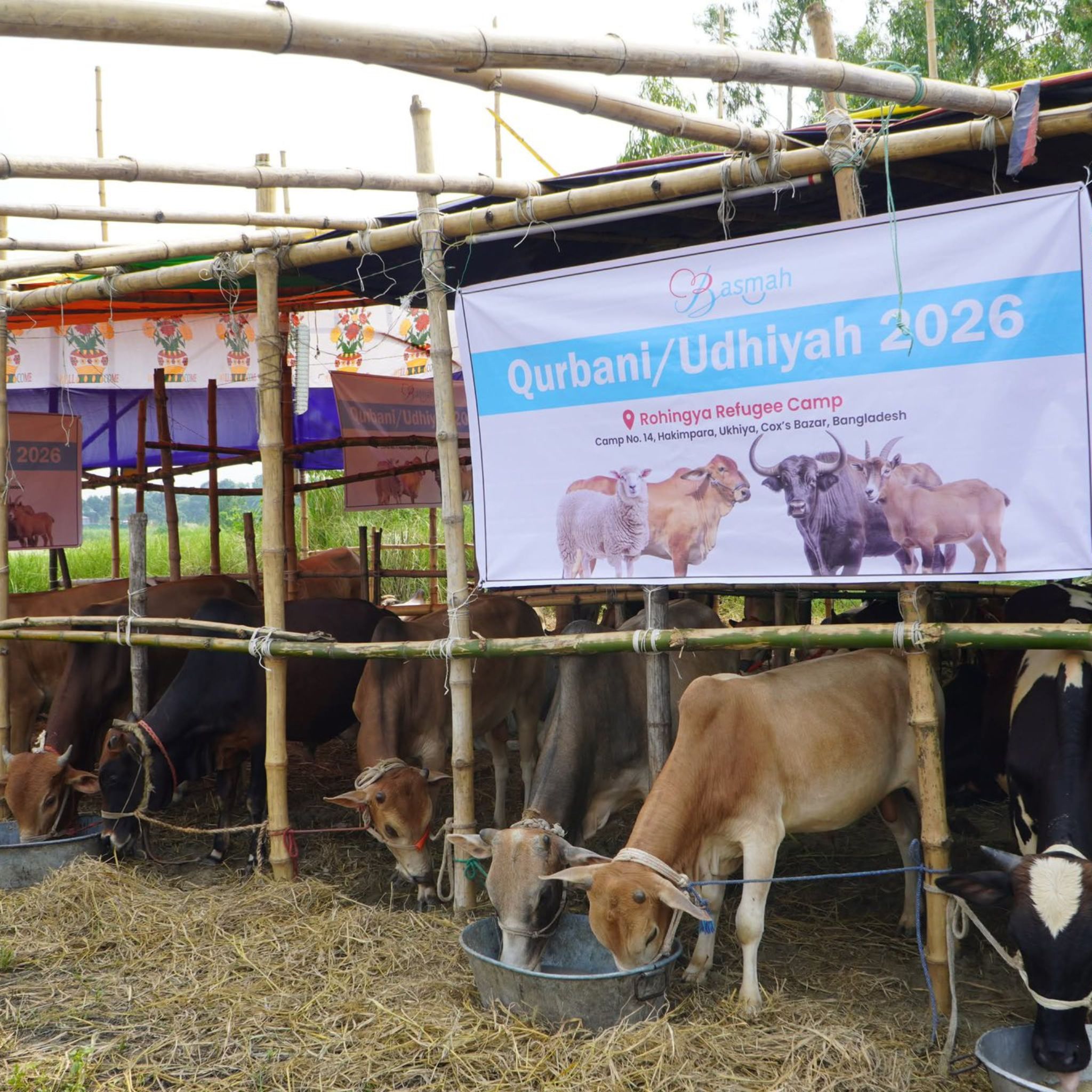 Qurbani rules in Islam